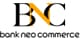 BSI Pay logo